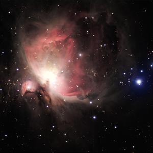 刘格格的腿有多好看?
